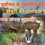 Maharajganj Wildlife Sanctuary Sohgibarwa: महराजगंज सोहगीबरवा का सफर! प्रकृति, रोमांच और वन्यजीवों का मिलन