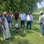 UP News: बजाज चीनी मिल रुधौली के अधिकारियों ने ड्रोन से कराया गन्ने की फसल पर छिड़काव